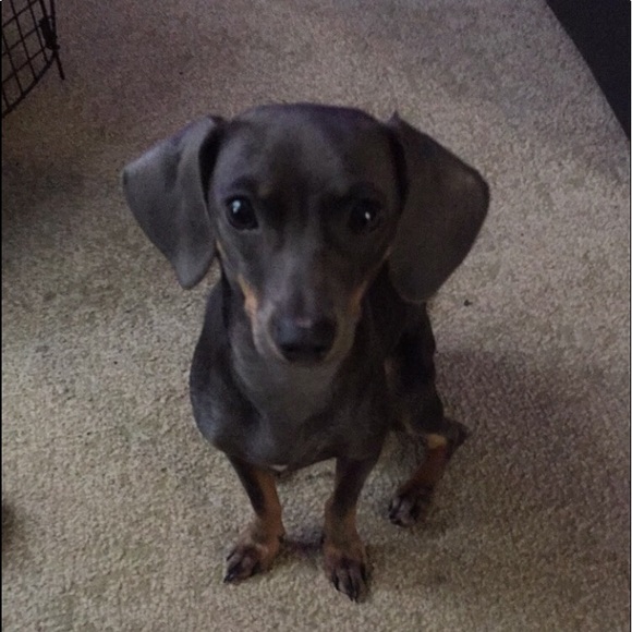 Meet your Posher, Joetta - Picture 1 of 1